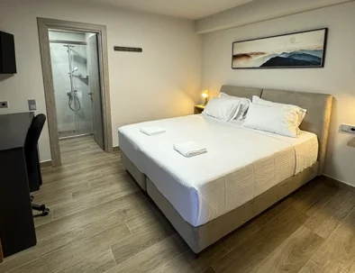 Artemis Blue Room
